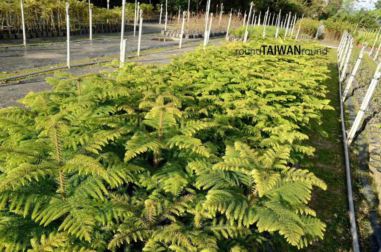 Rehshan_Botanick_Garden________-014.jpg