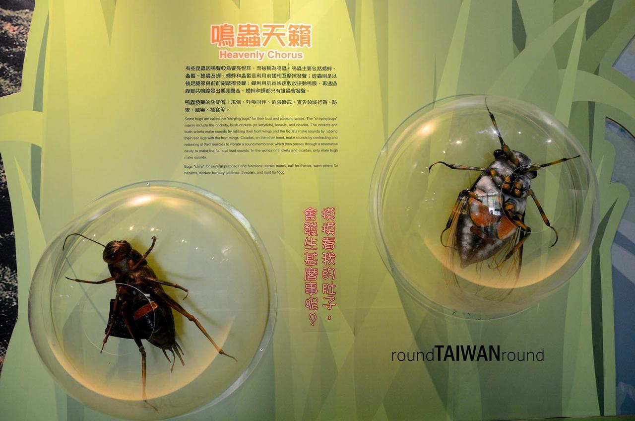 Kenting_Visitor_Center_________-005.jpg