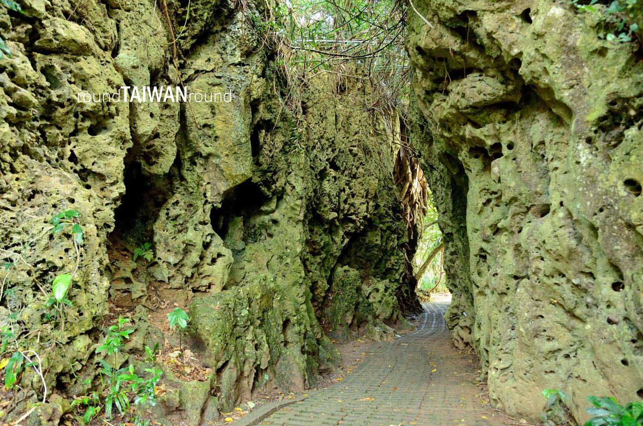 Sheding_Nature_Park_________-002.jpg