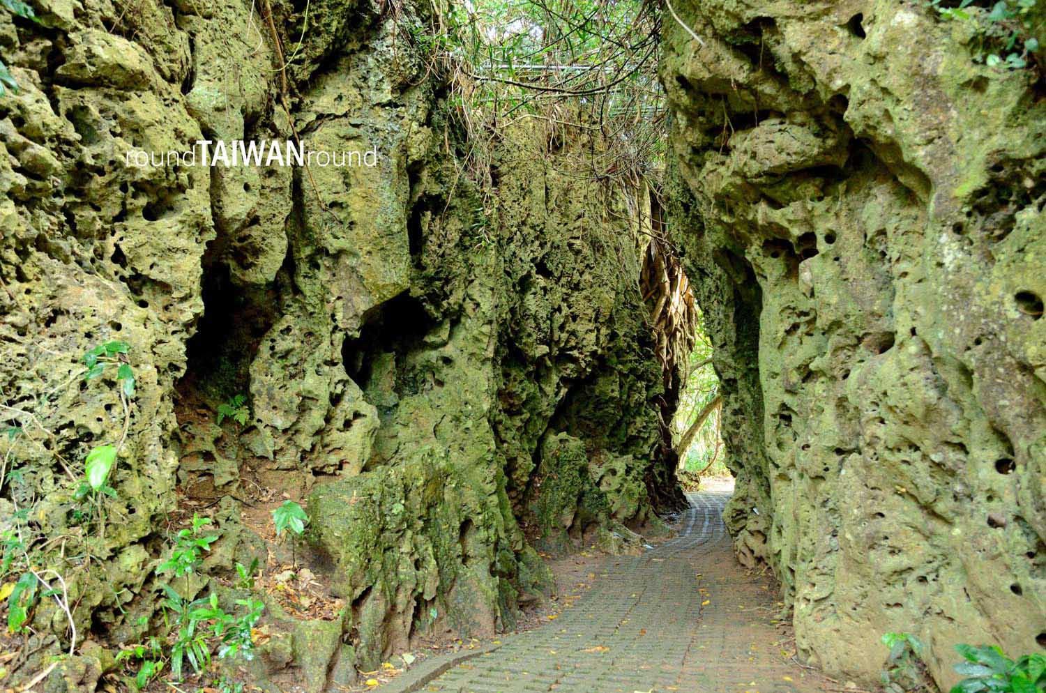 Sheding_Nature_Park_________-002.jpg
