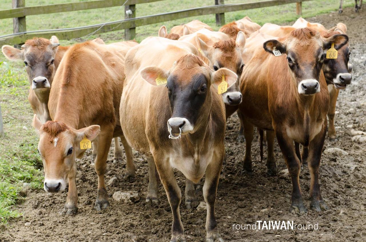 Flying_Cow_Ranch_______-010.jpg