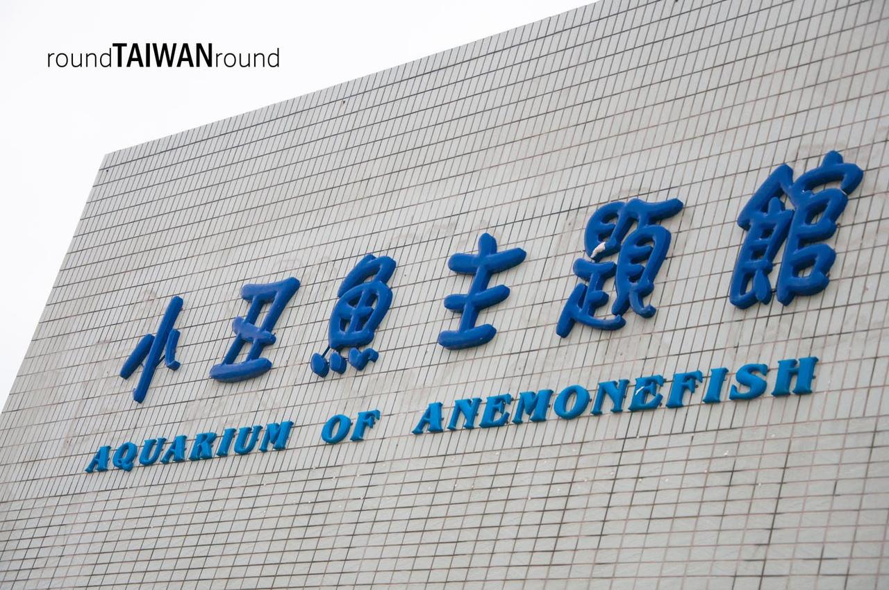 Chenggong_Aquarium_of_Clown_Fish___________-011.jpg