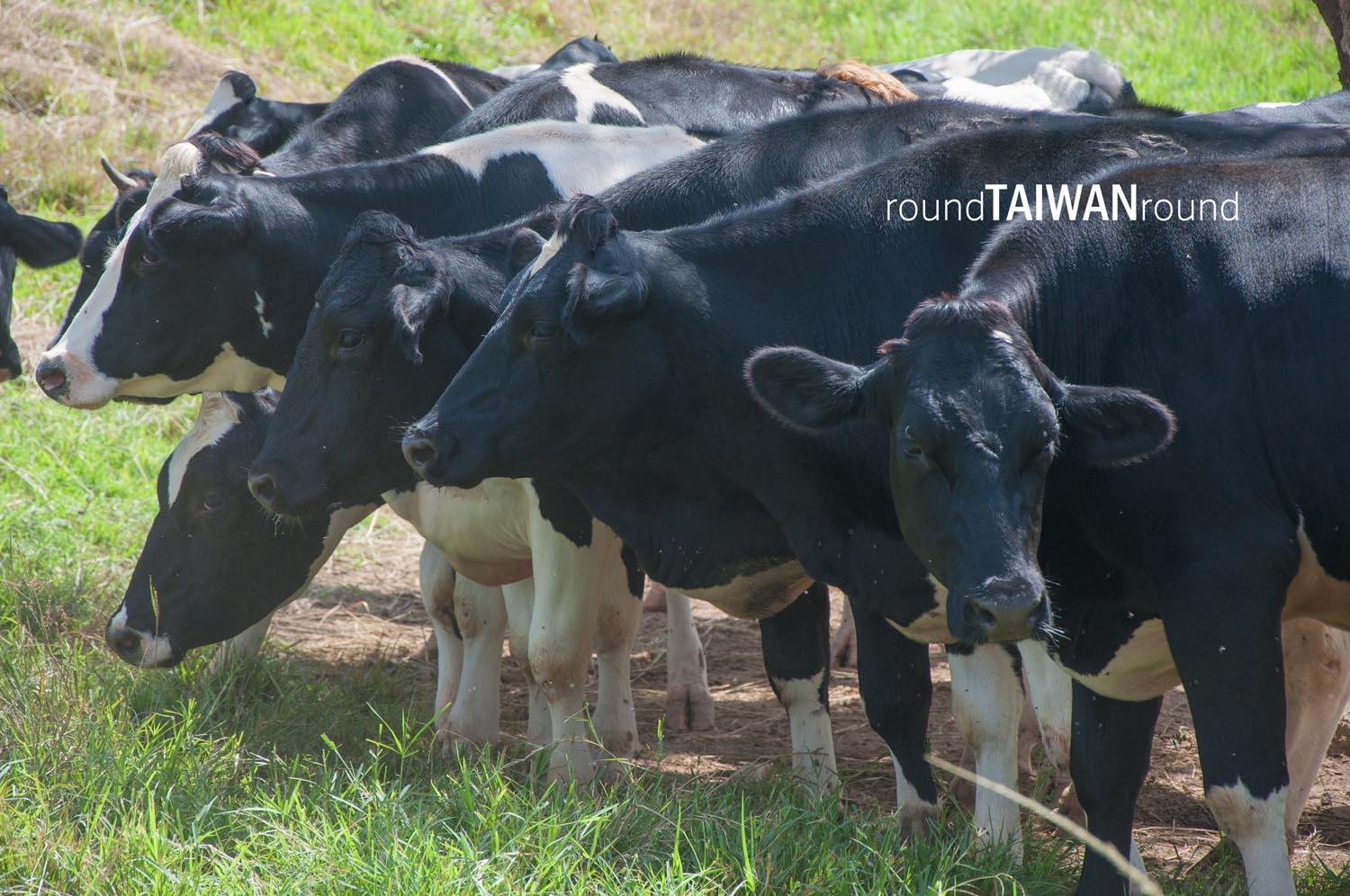 Chulu_Ranch_______-028.jpg
