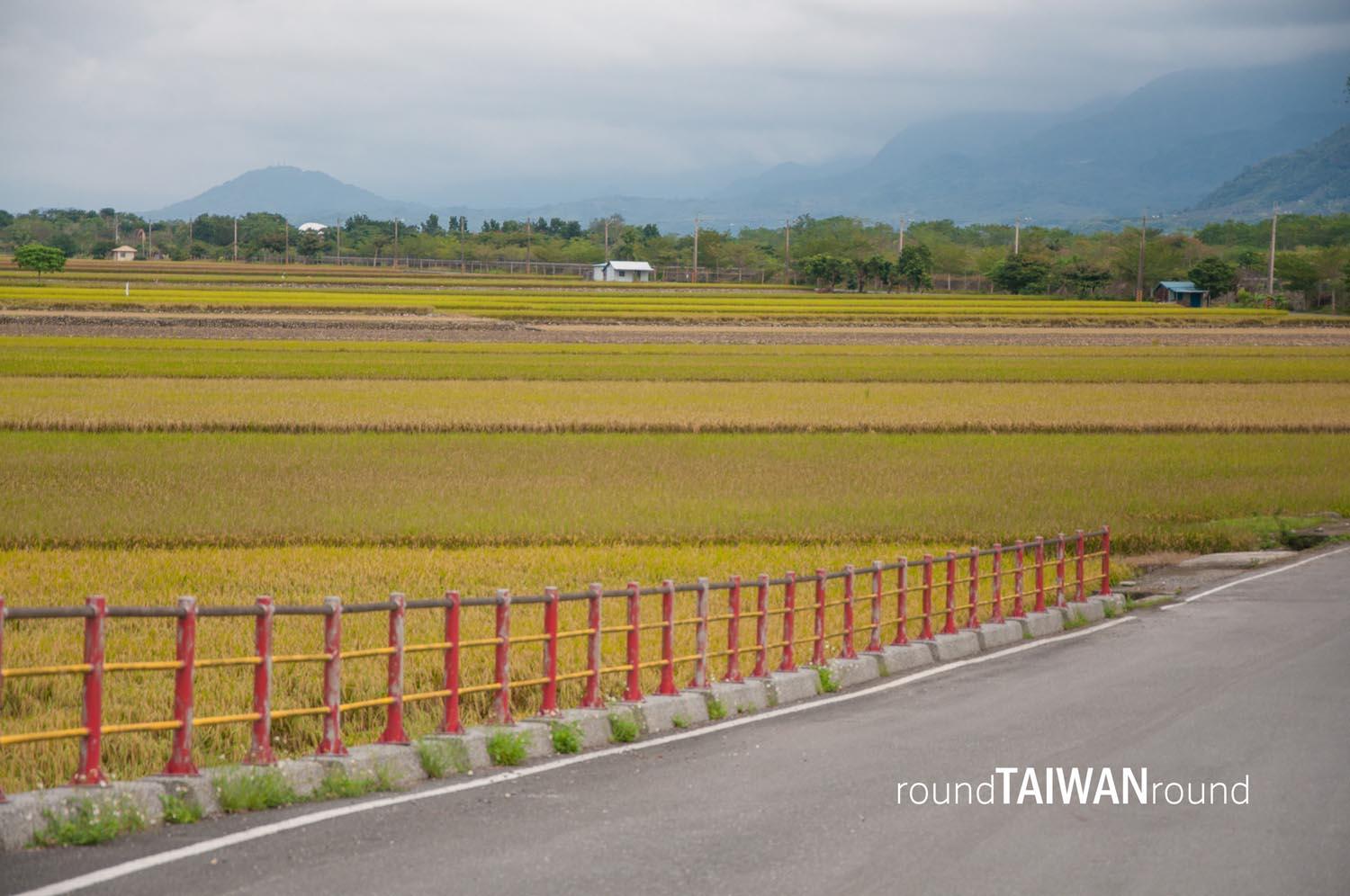 Guanshan_Cycling_Path_________-018.jpg