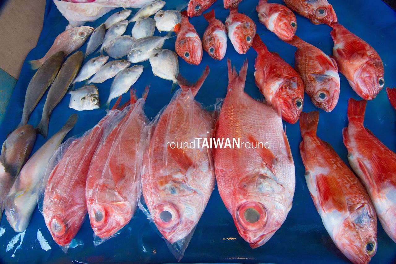 Hualien_Fishing_Harbor_______-027___.jpg