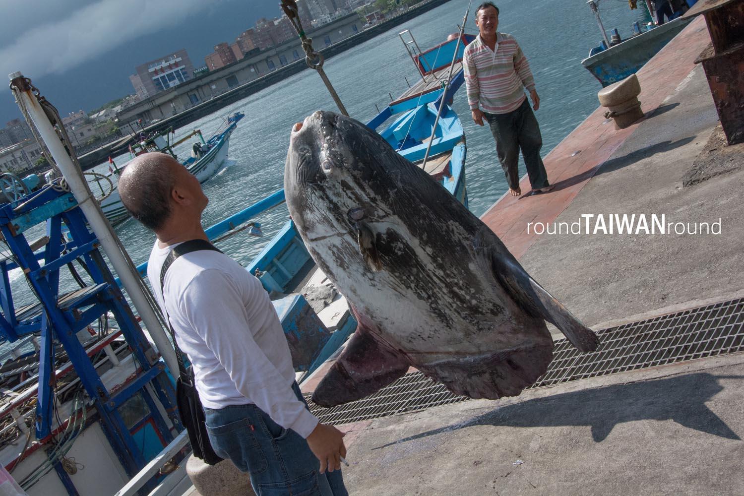Hualien_Fishing_Harbor_______-049___.jpg