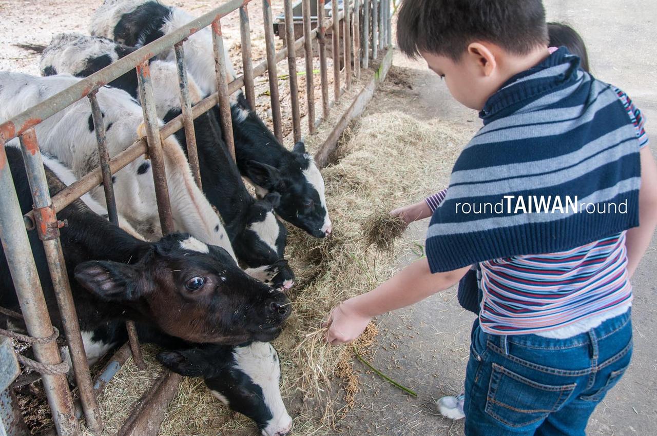 Ruishui_Pasture_______-002.jpg