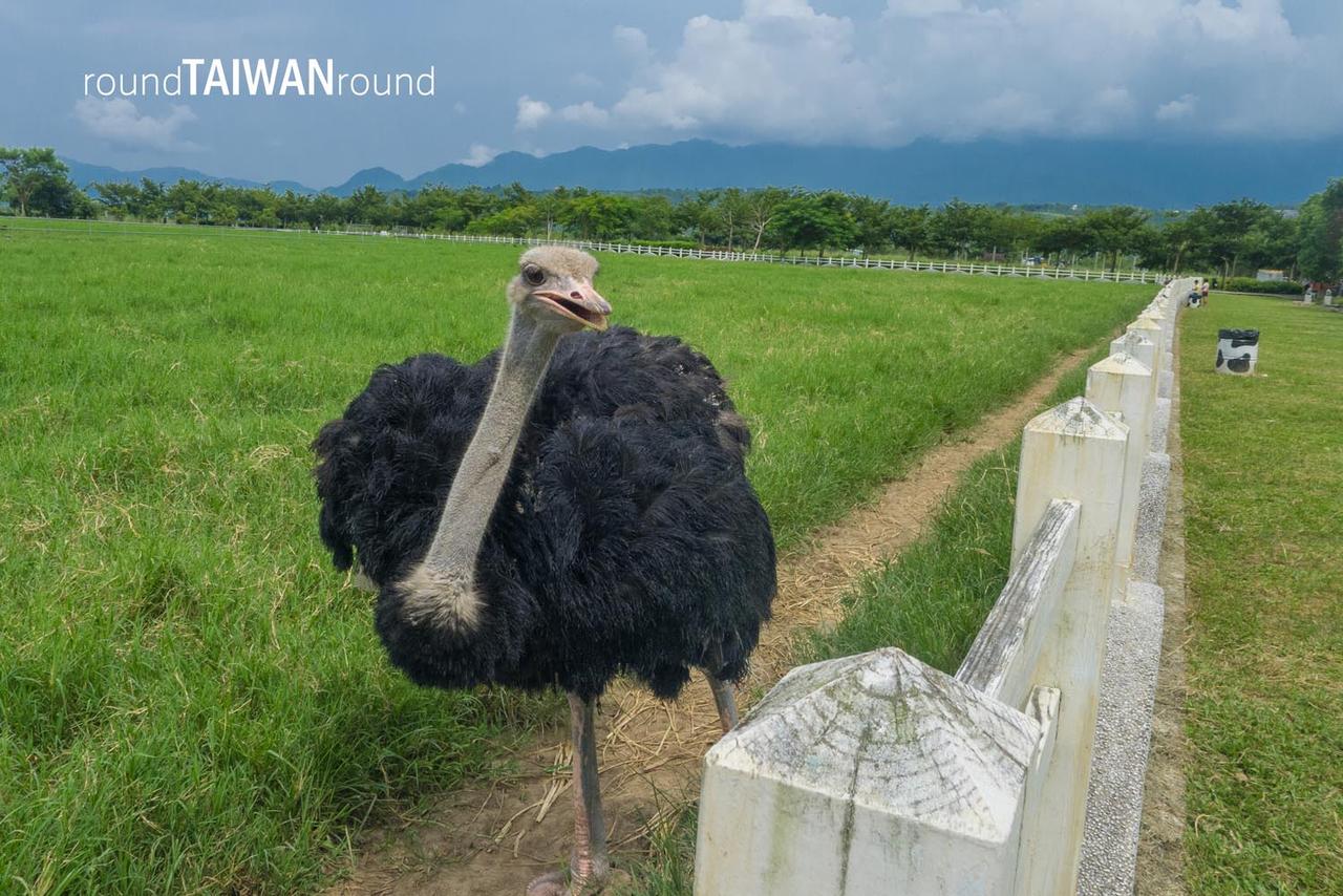 Ruishui_Pasture_______-021.jpg