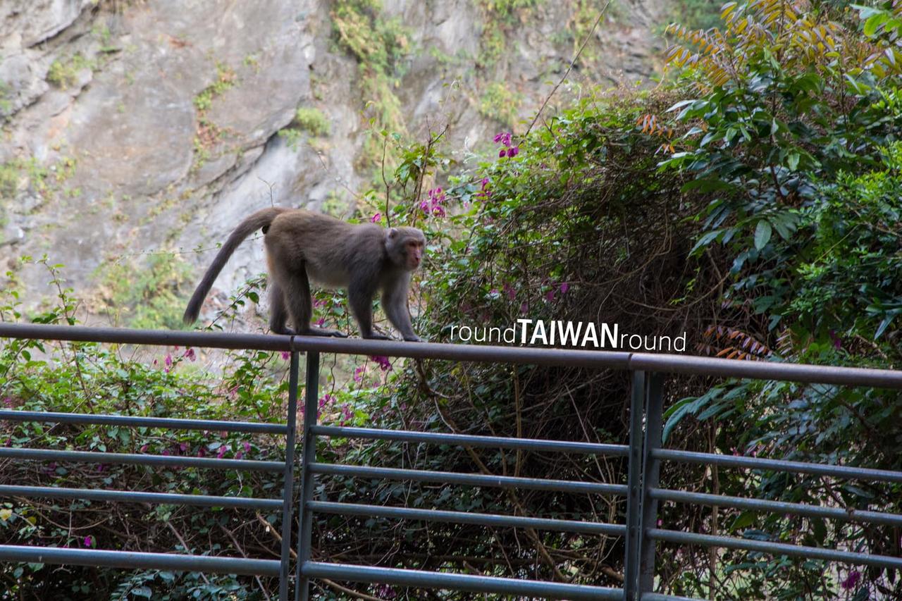 Tianxiang_____-001_2.jpg