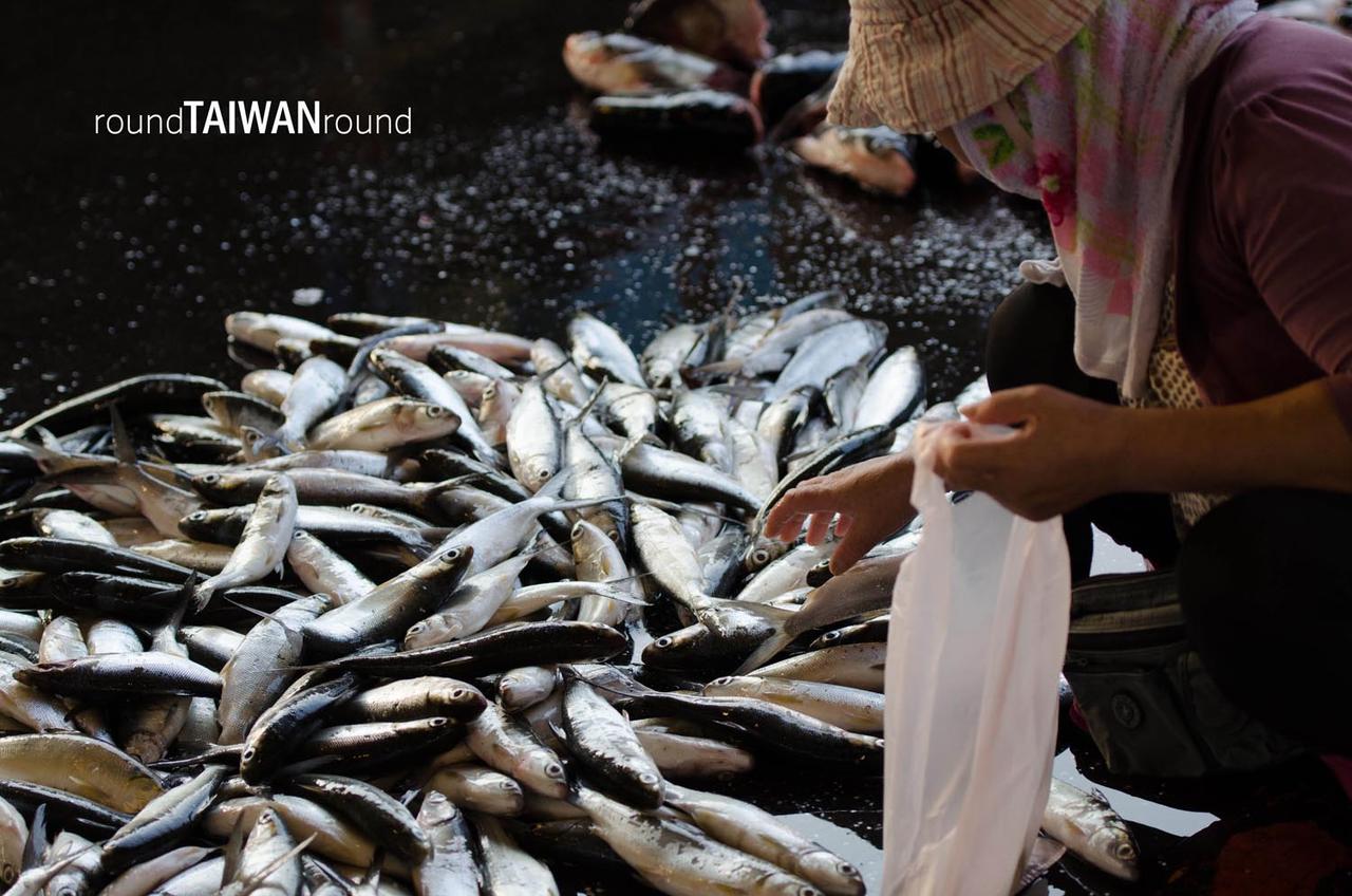 Qianzhen_Fishing_Port_______-015.jpg
