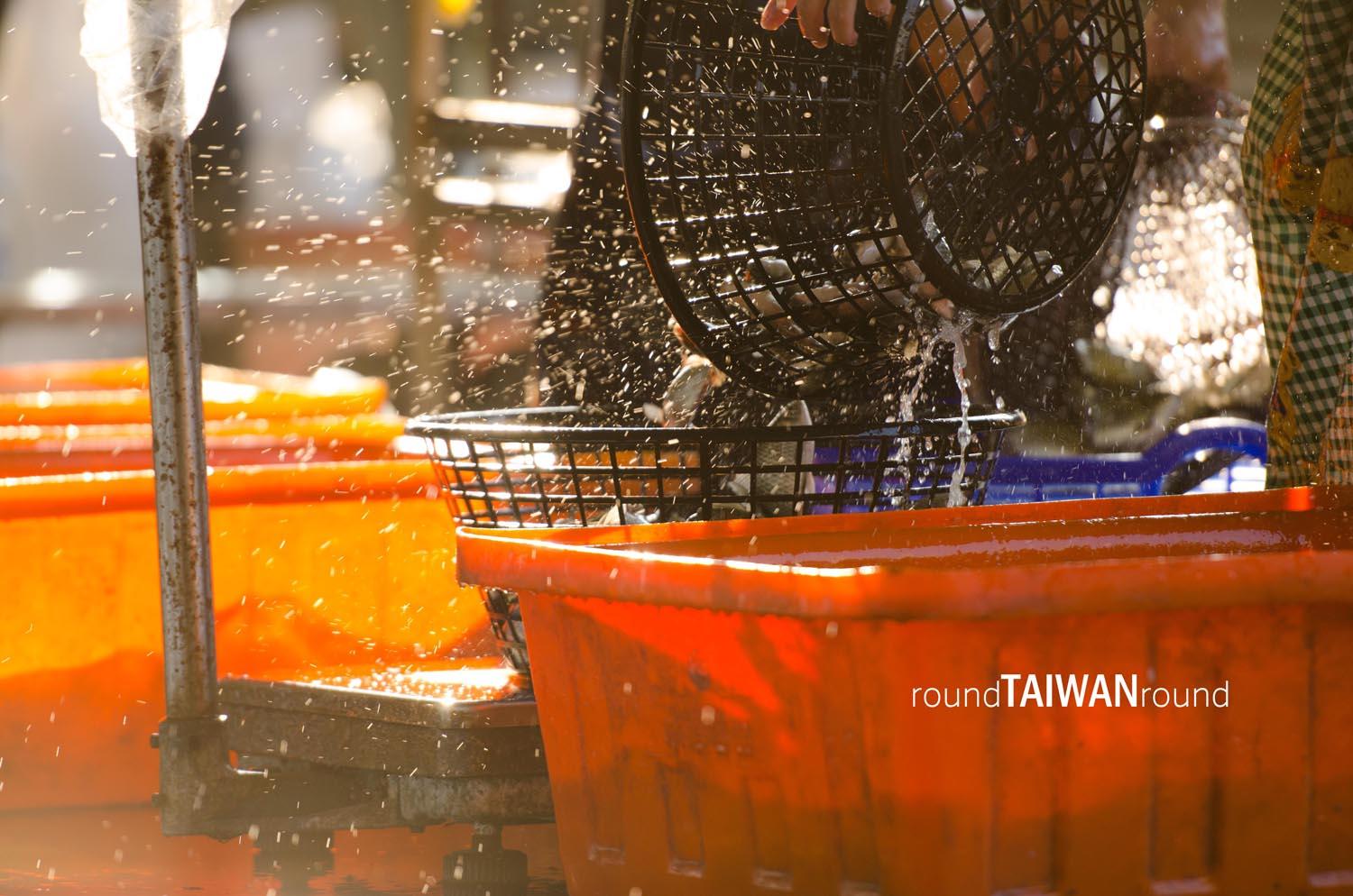 Qianzhen_Fishing_Port_______-062.jpg