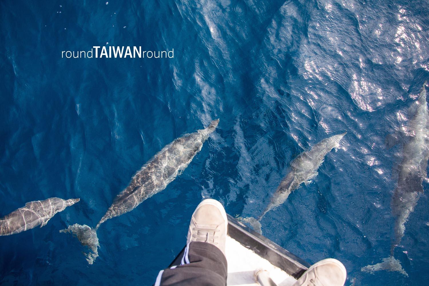 Hualien_Port_Whale_Watching________-021.jpg