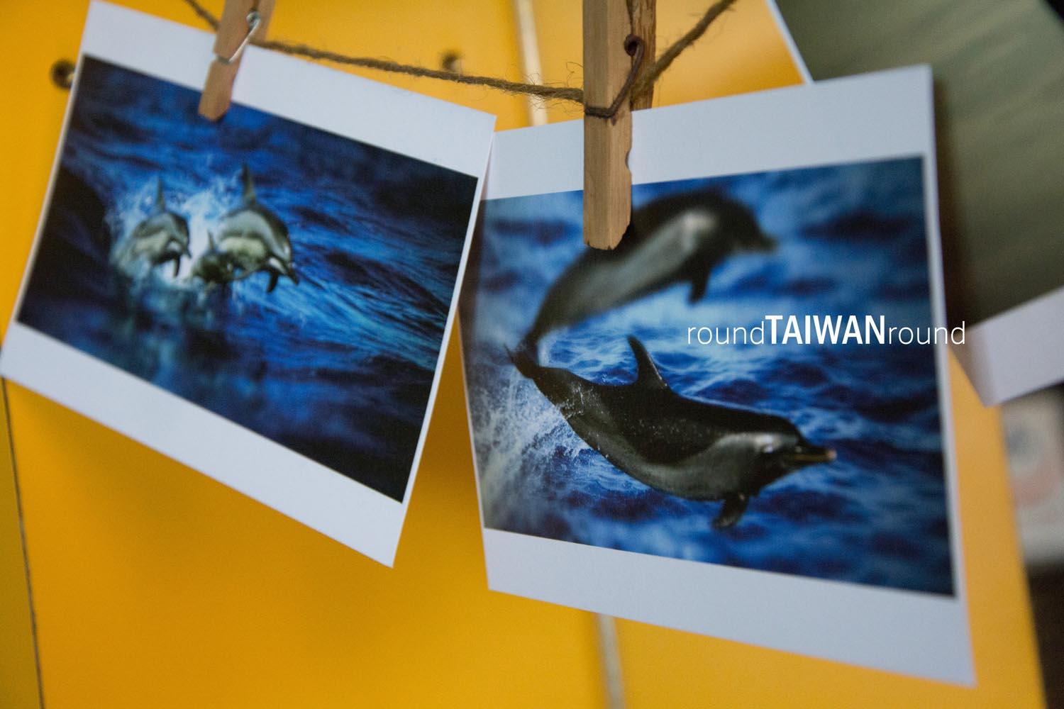 Hualien_Port_Whale_Watching________-001.jpg
