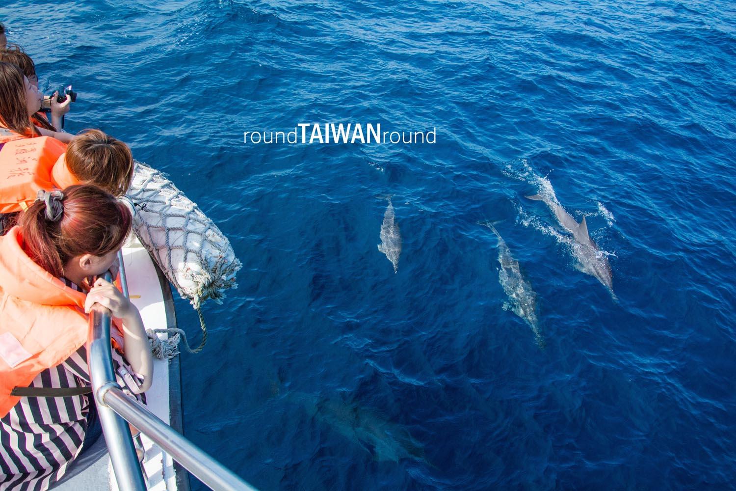 Hualien_Port_Whale_Watching________-022.jpg
