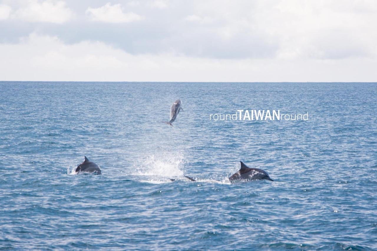Hualien_Port_Whale_Watching________-034.jpg