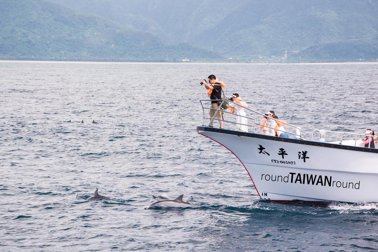 Hualien_Port_Whale_Watching________-037.jpg