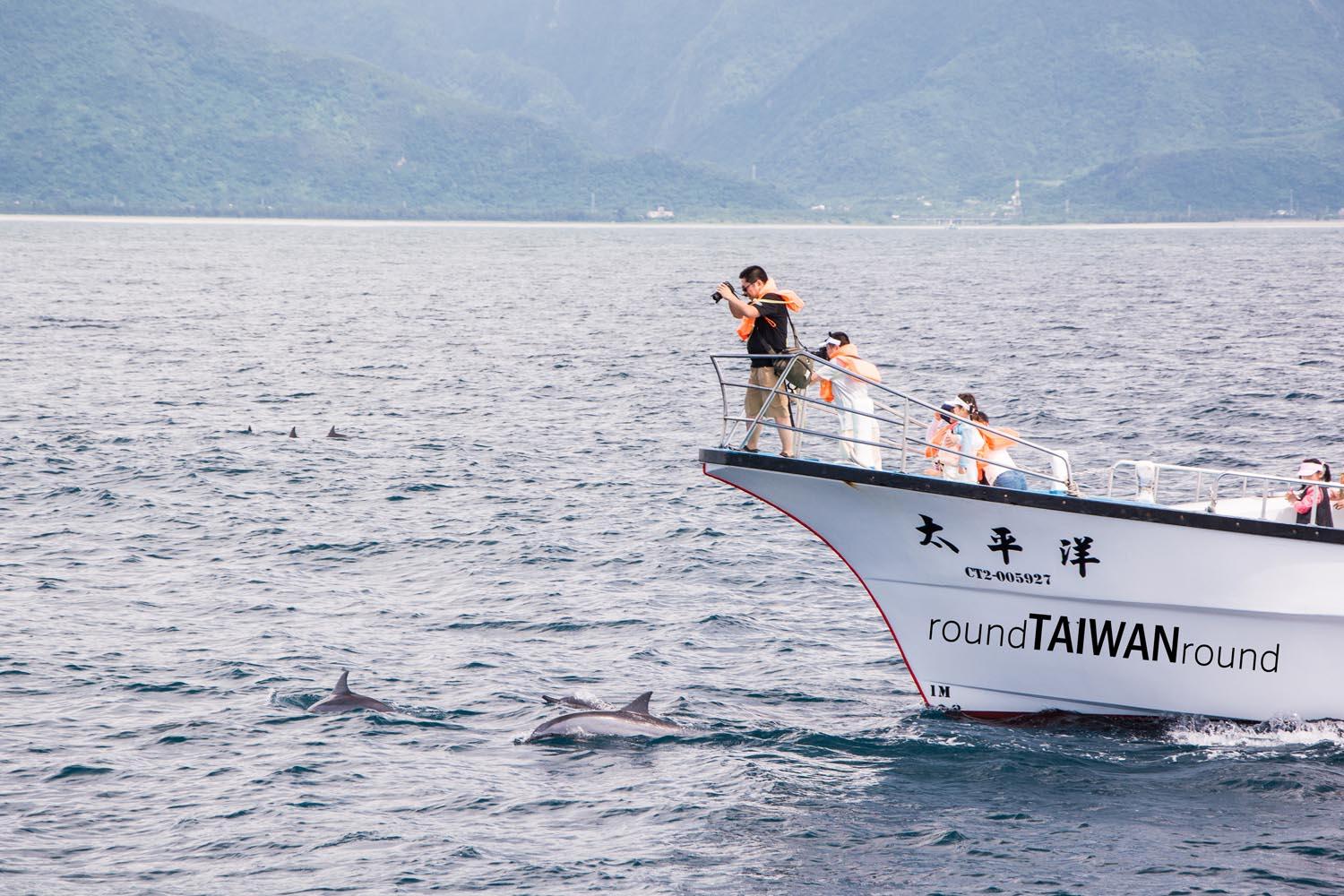 Hualien_Port_Whale_Watching________-037.jpg