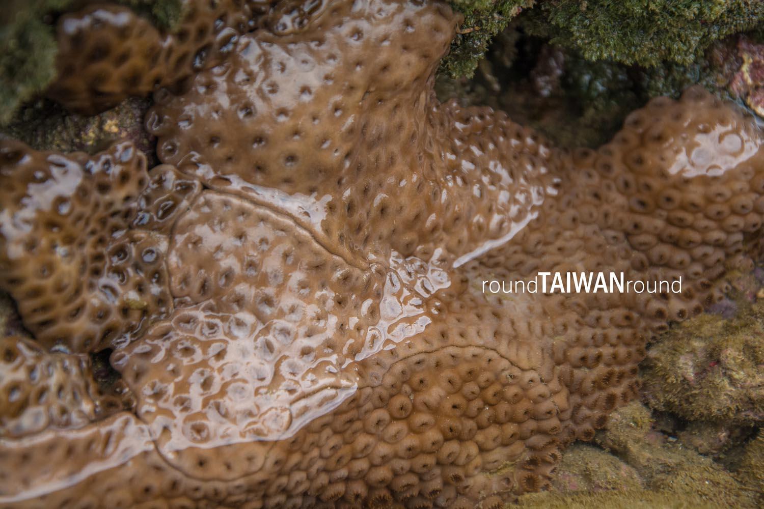 Fushan_____-004.jpg