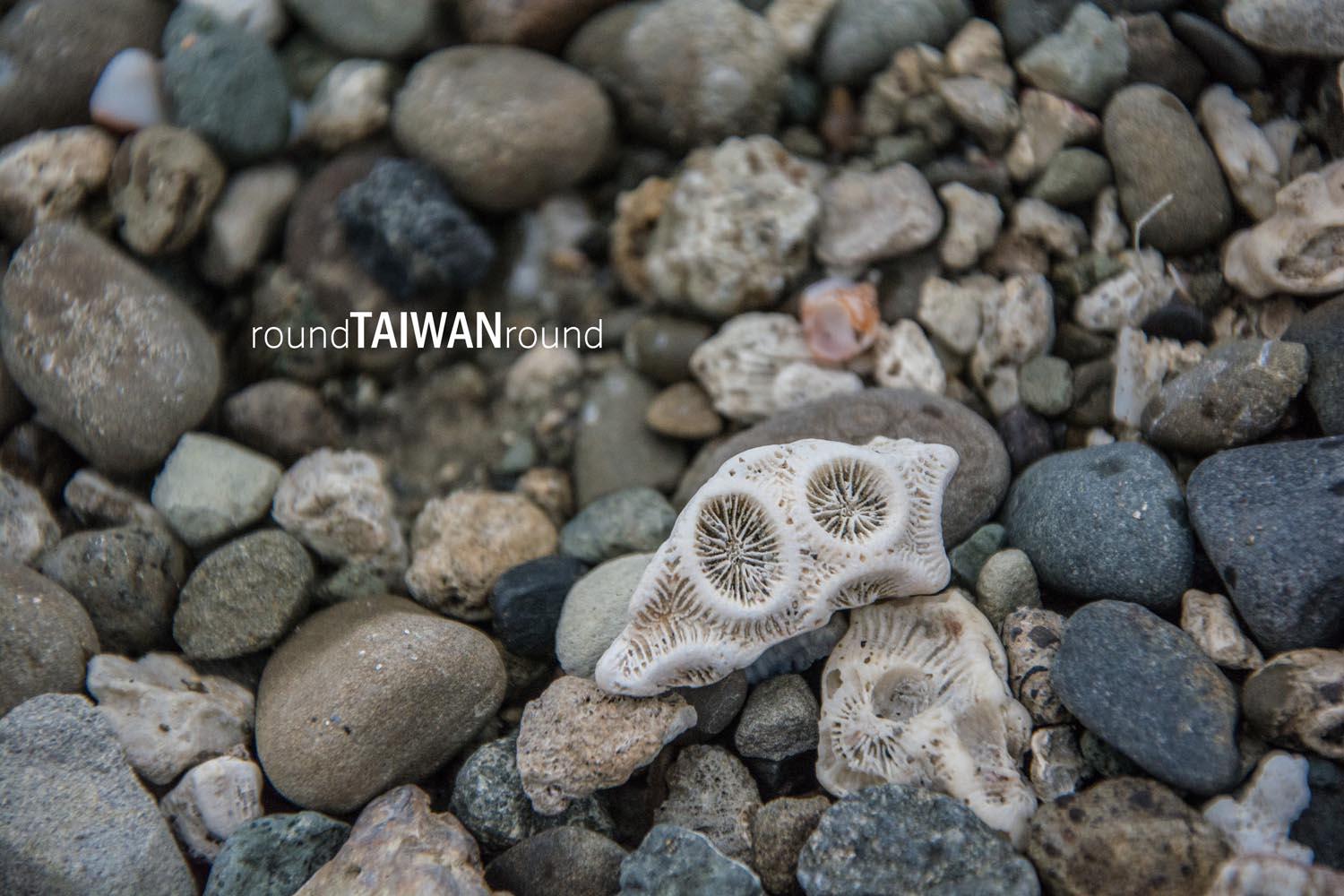 Fushan_____-011.jpg