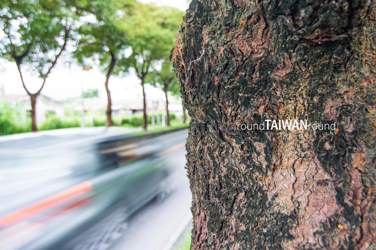 Wuling_Green_Tunnel_________-003.jpg