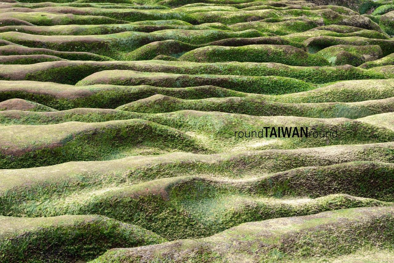 Laomei_Stone_Ditches_______-016.jpg