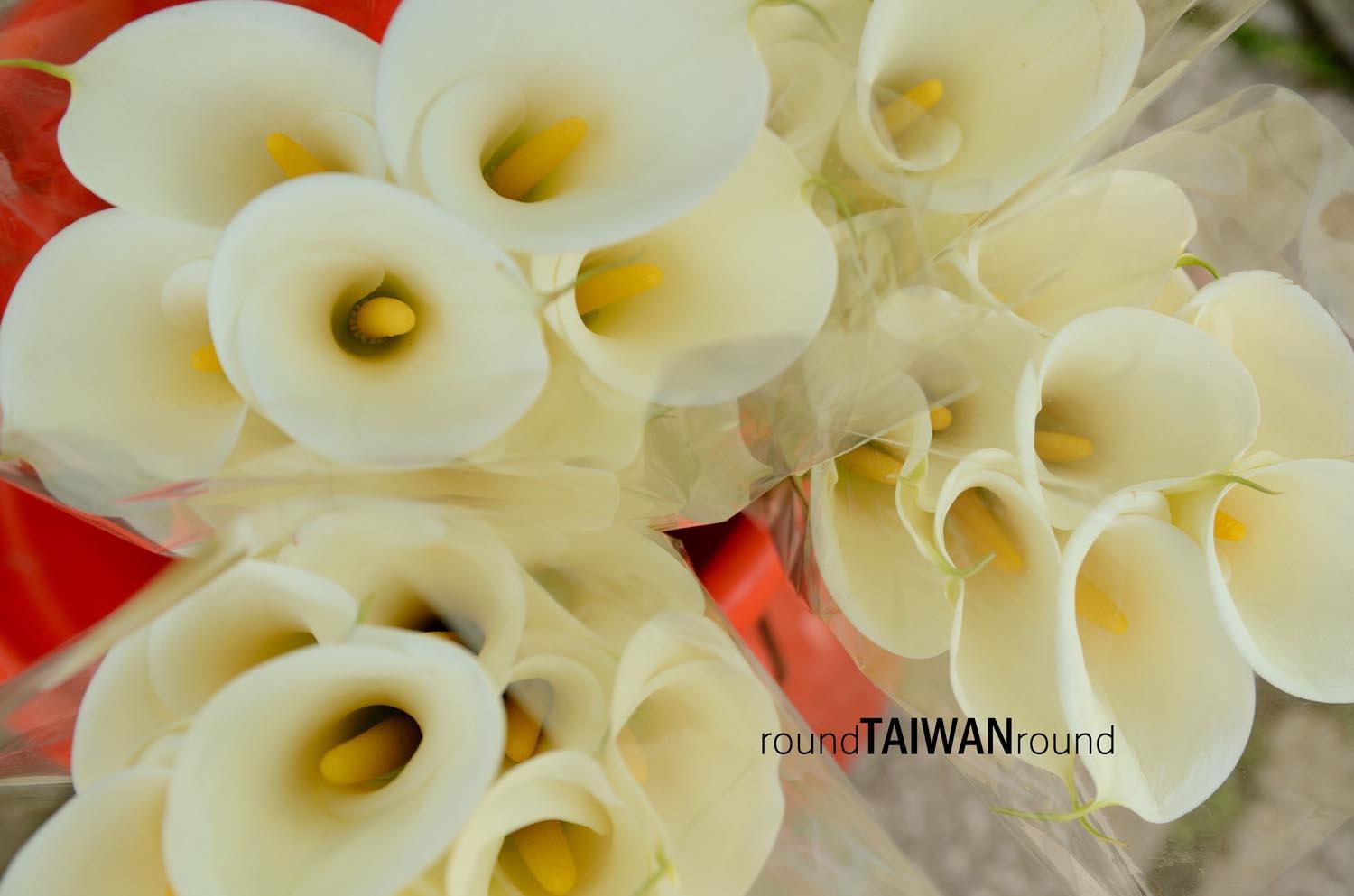 Zhuzihu______-008.jpg