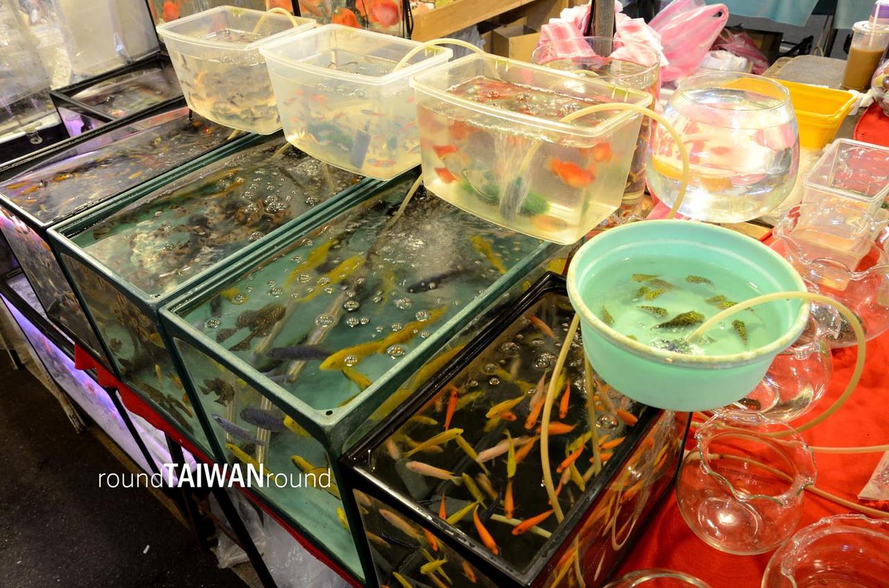 Raohe_Street_Tourist_Night_Market__________-055.jpg