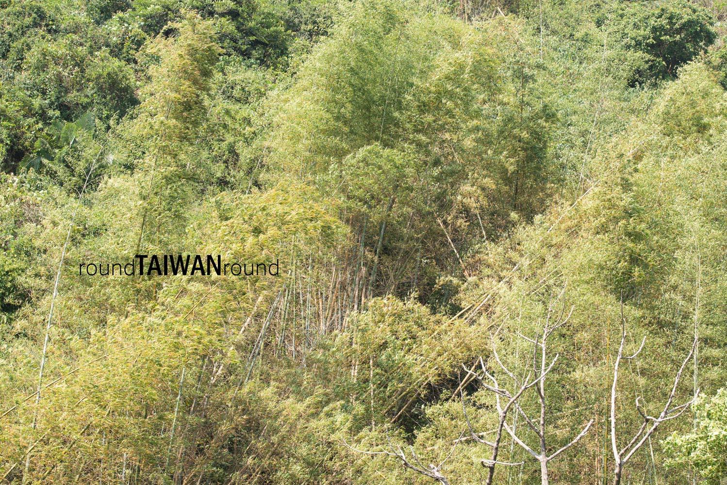 Maolin_Butterfly_Walkway_________-029.jpg