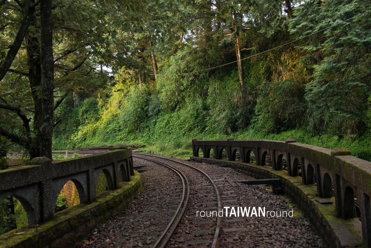 Alishan_Forest_Railway___________-014.jpg