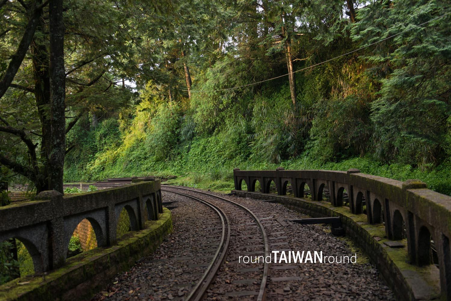 Alishan_Forest_Railway___________-014.jpg