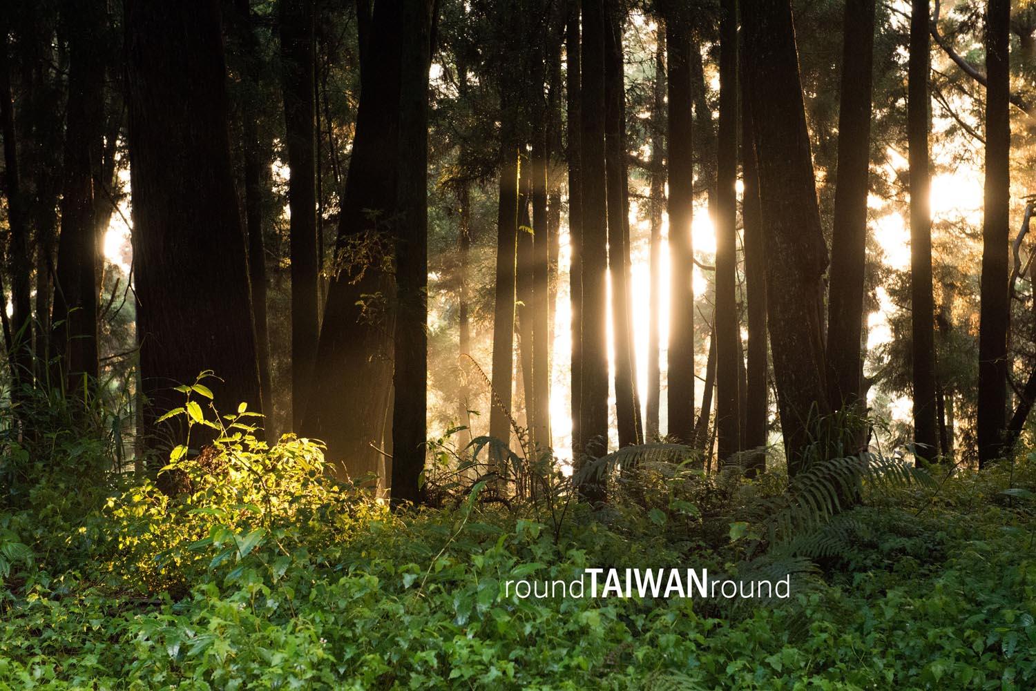 Alishan_Forest_Railway___________-016.jpg