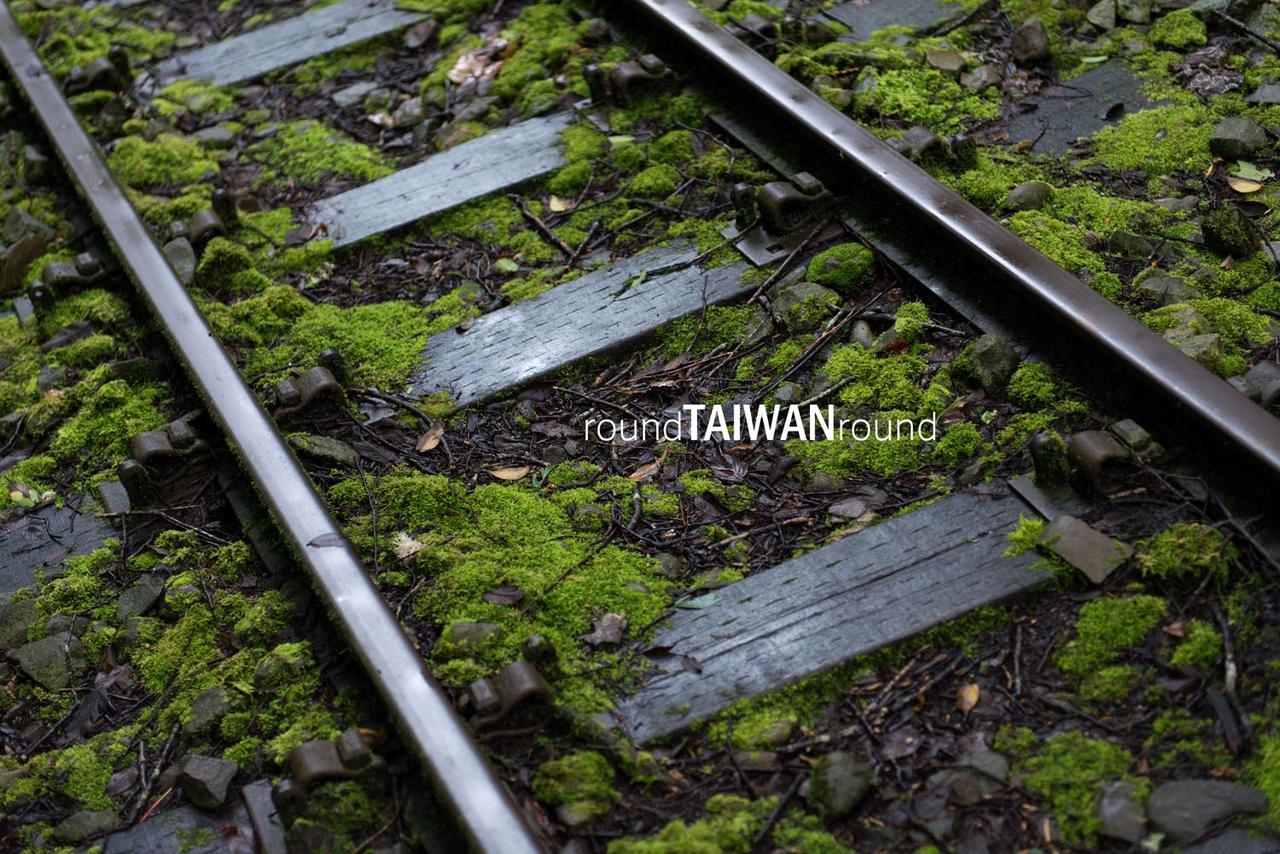 Alishan_Forest_Railway___________-010.jpg