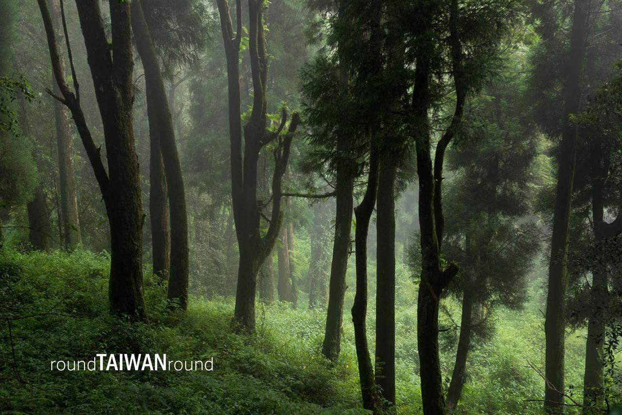 Alishan_Forest_Railway___________-009.jpg