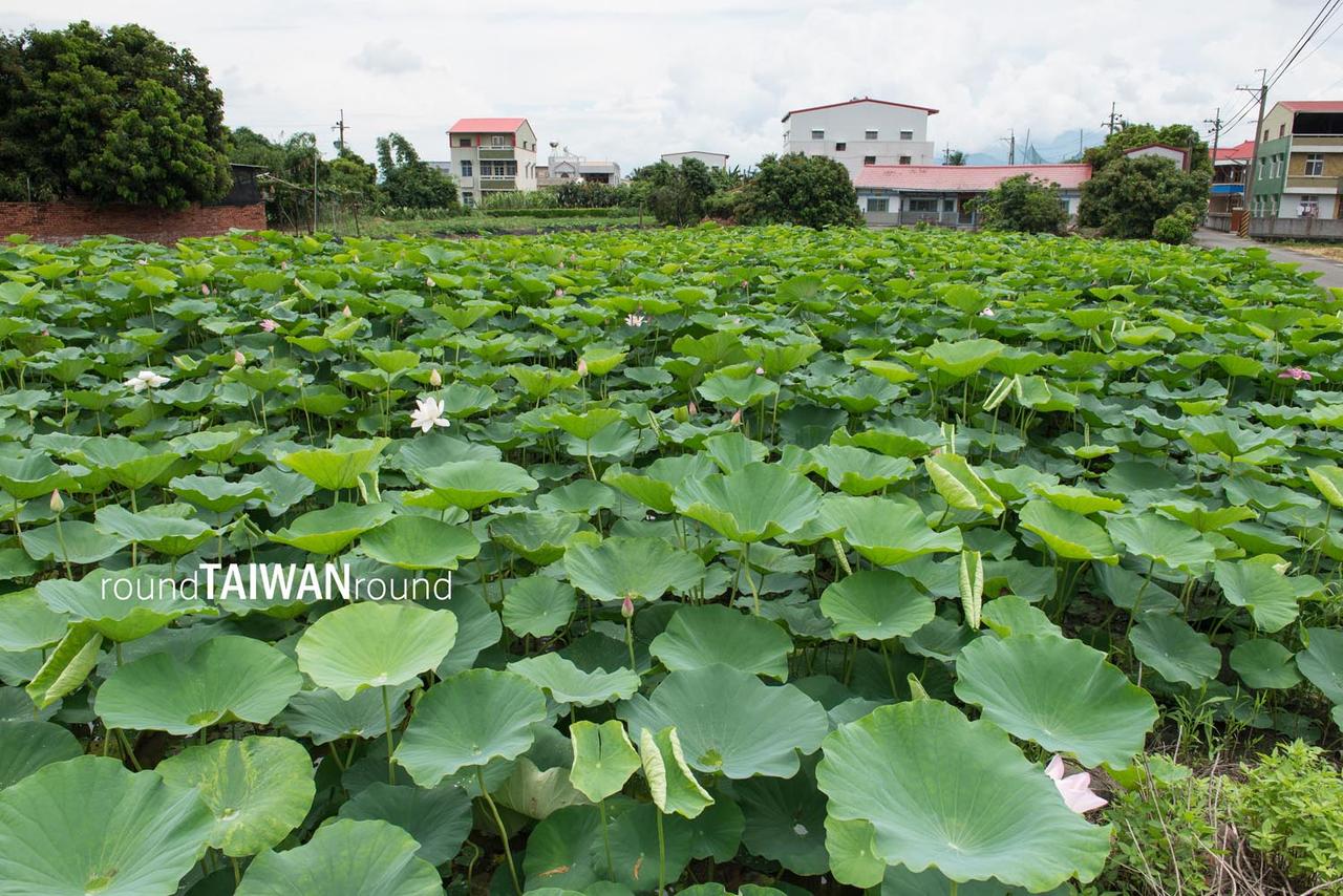 Wushulin_Recreation_Park__________-001.jpg