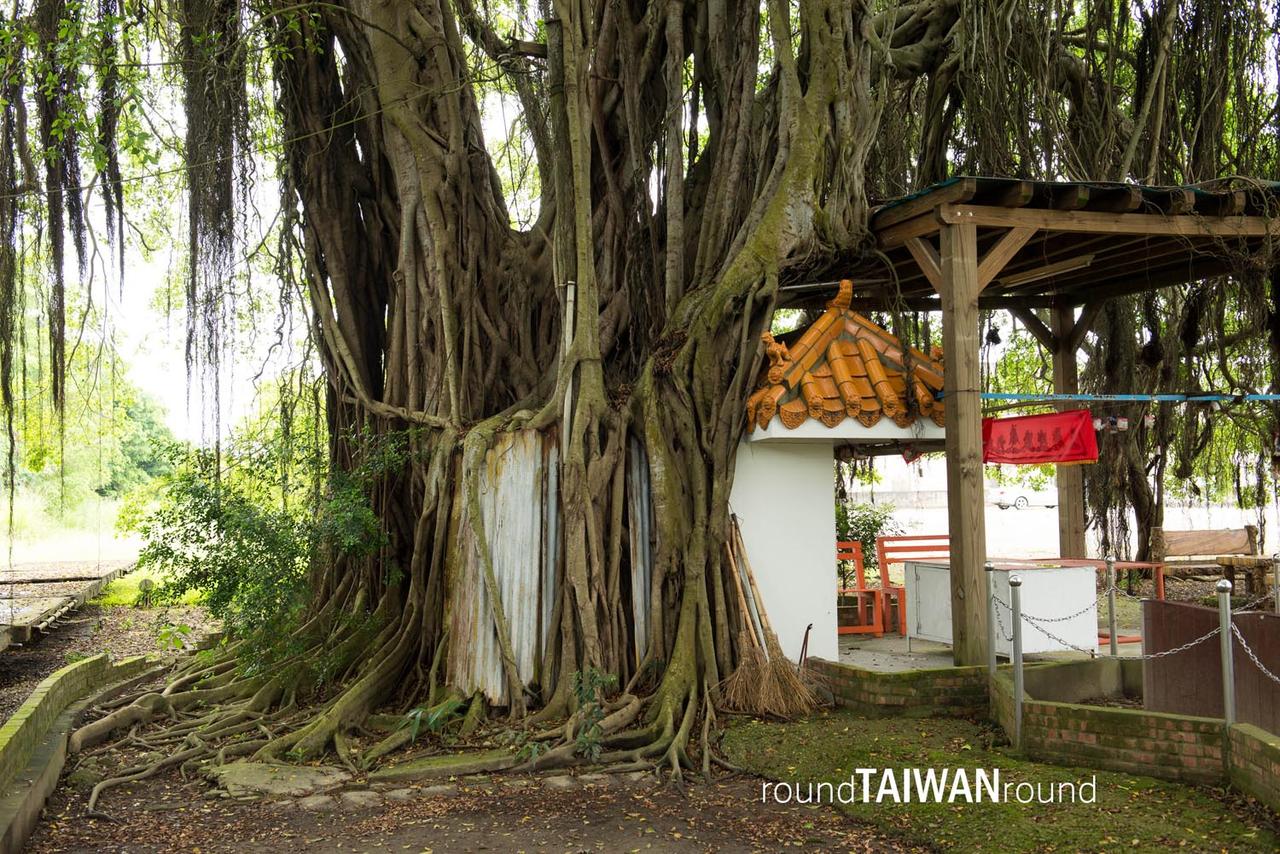 Wushulin_Recreation_Park__________-017.jpg