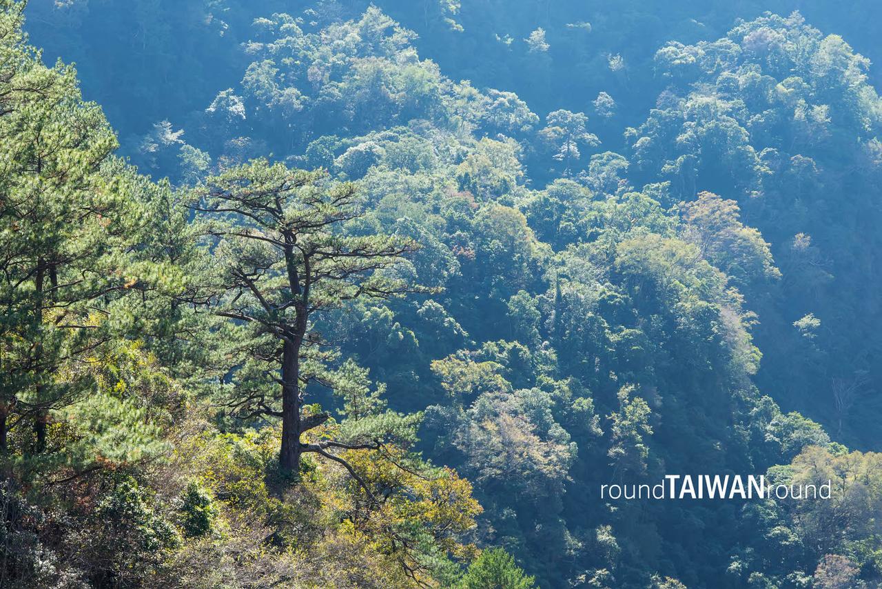 Aowanda______-041.jpg