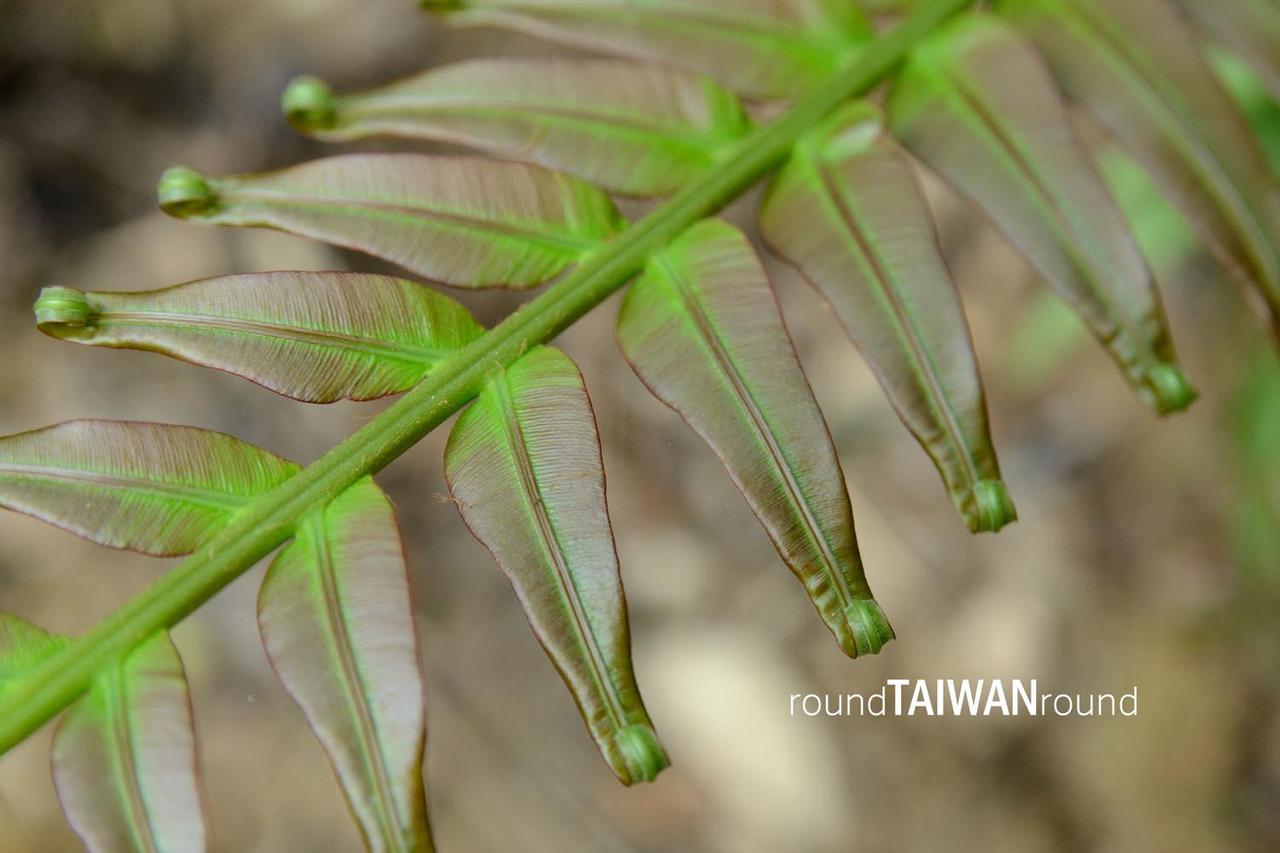 Nanrenshan______-026.jpg