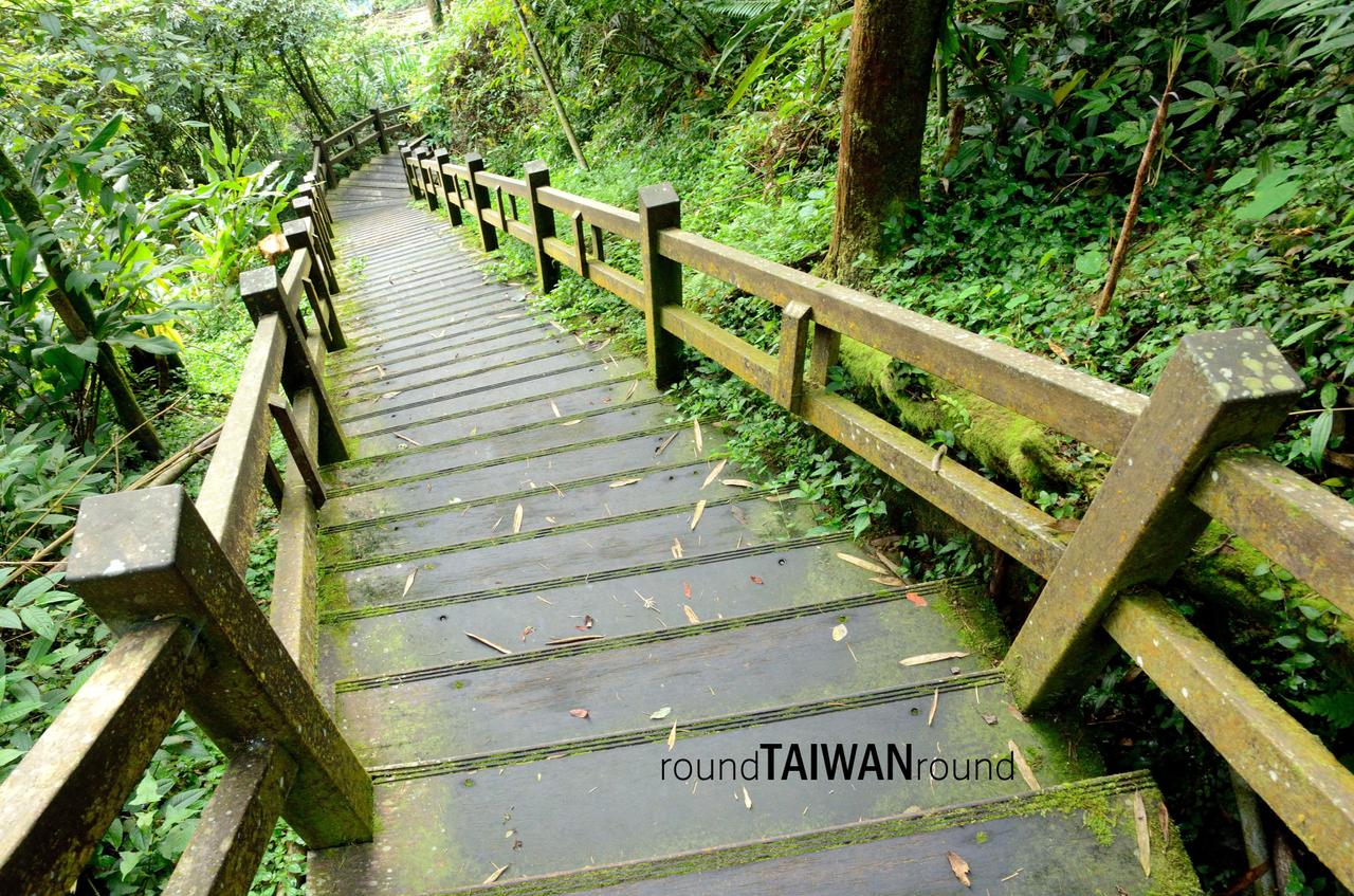 Fenqihu_Forest_Trail__________-001.jpg