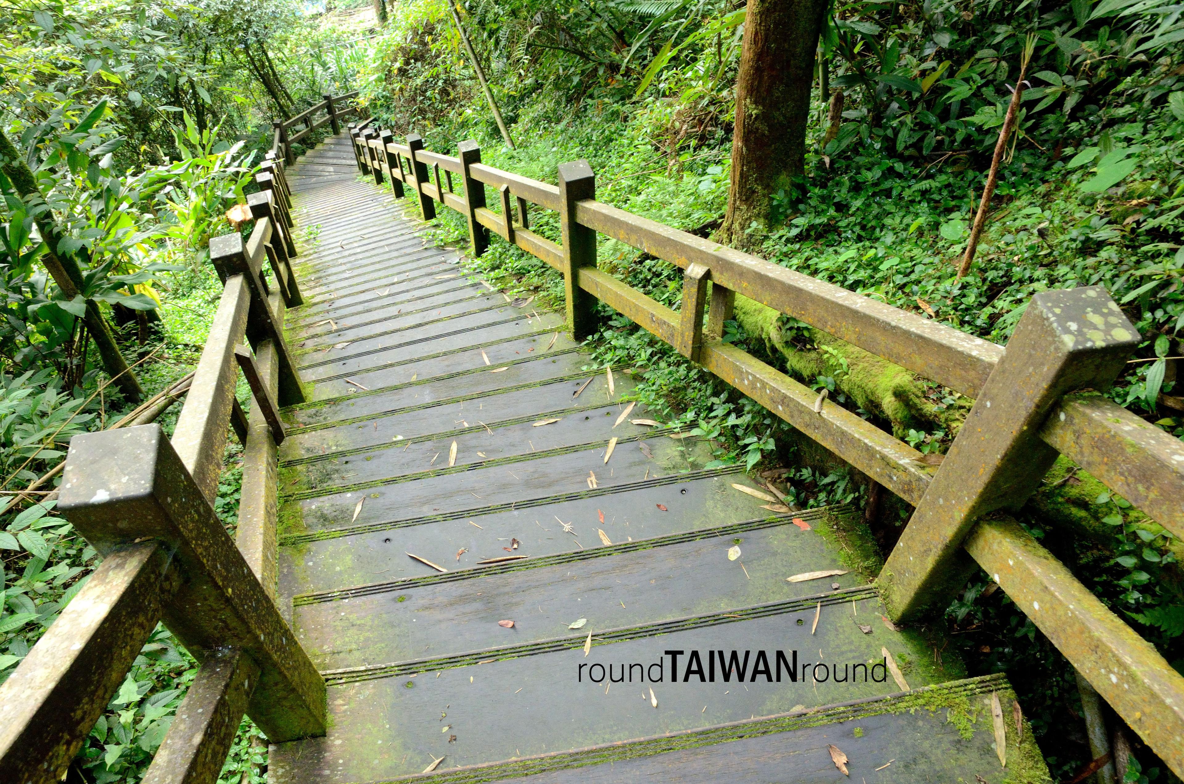 Fenqihu_Forest_Trail__________-001.jpg