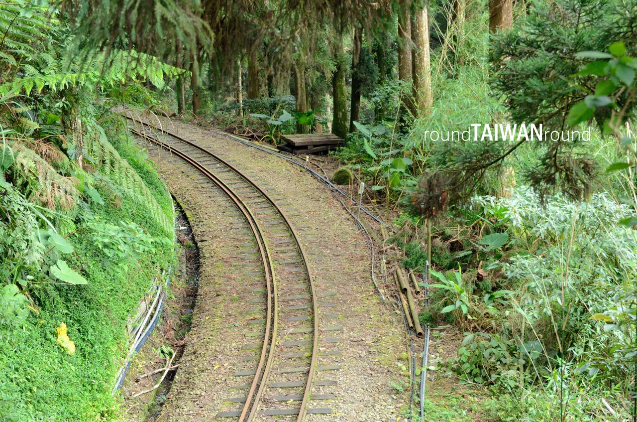 Fenqihu_Forest_Trail__________-003.jpg