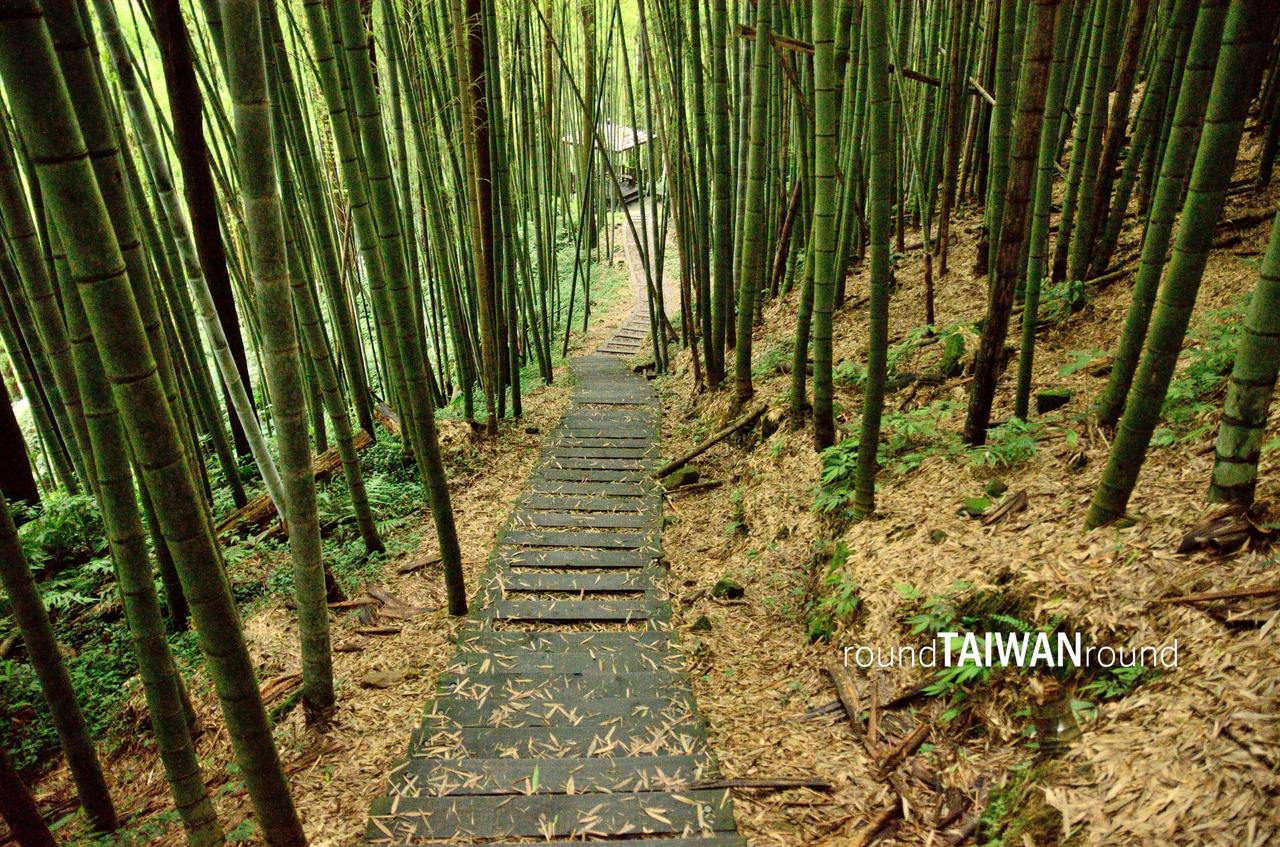 Fenqihu_Forest_Trail__________-008.jpg