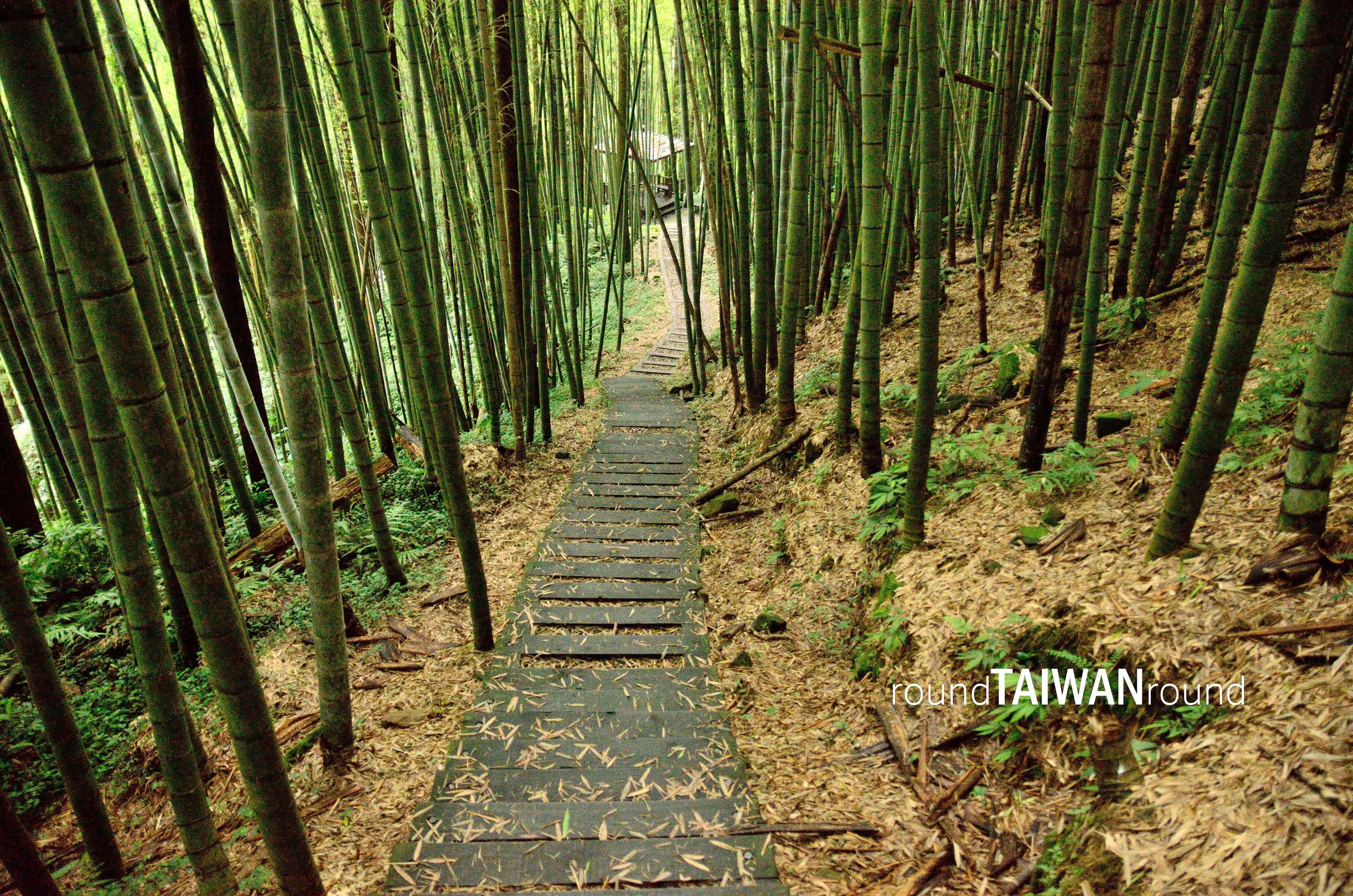 Fenqihu_Forest_Trail__________-008.jpg