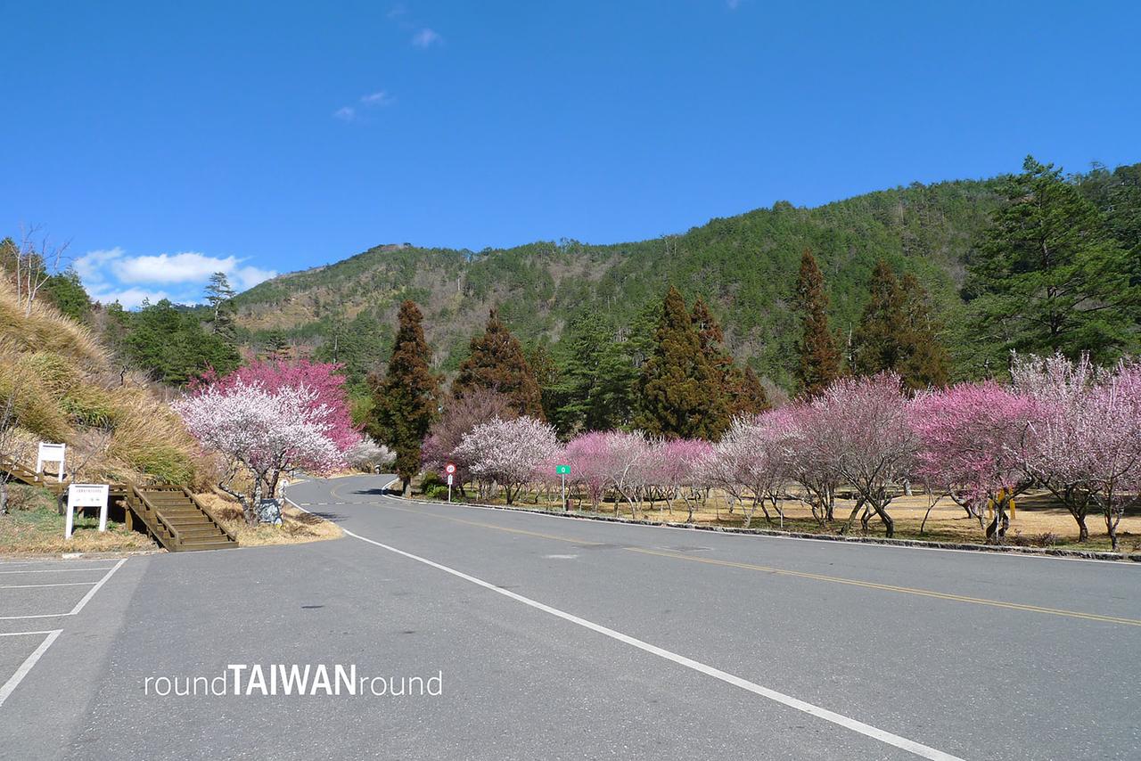 0423Wuling_Farm_______-016.JPG