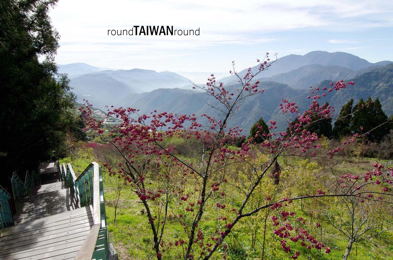 499-Step_Trail_________-006.jpg