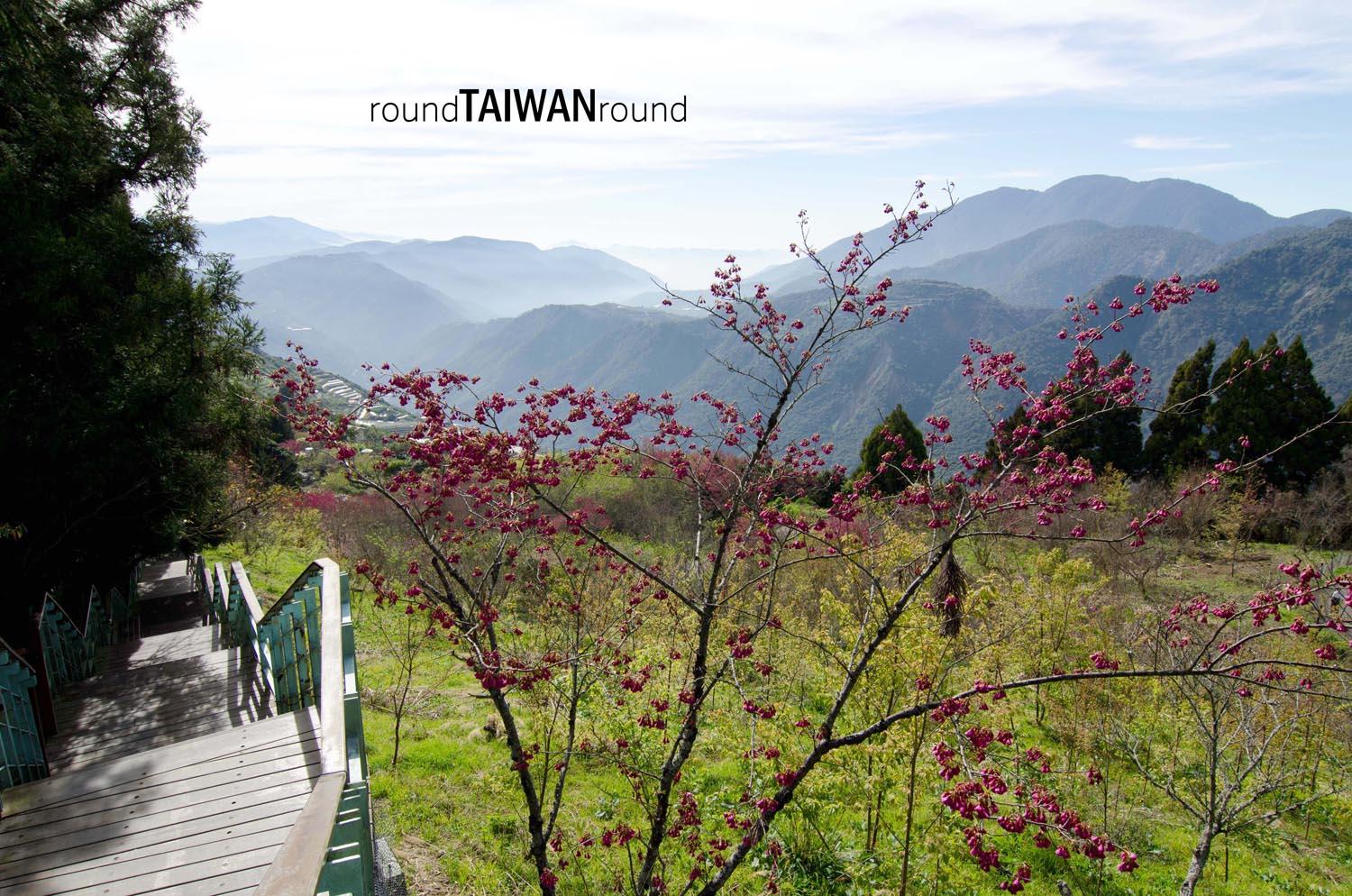 499-Step_Trail_________-006.jpg