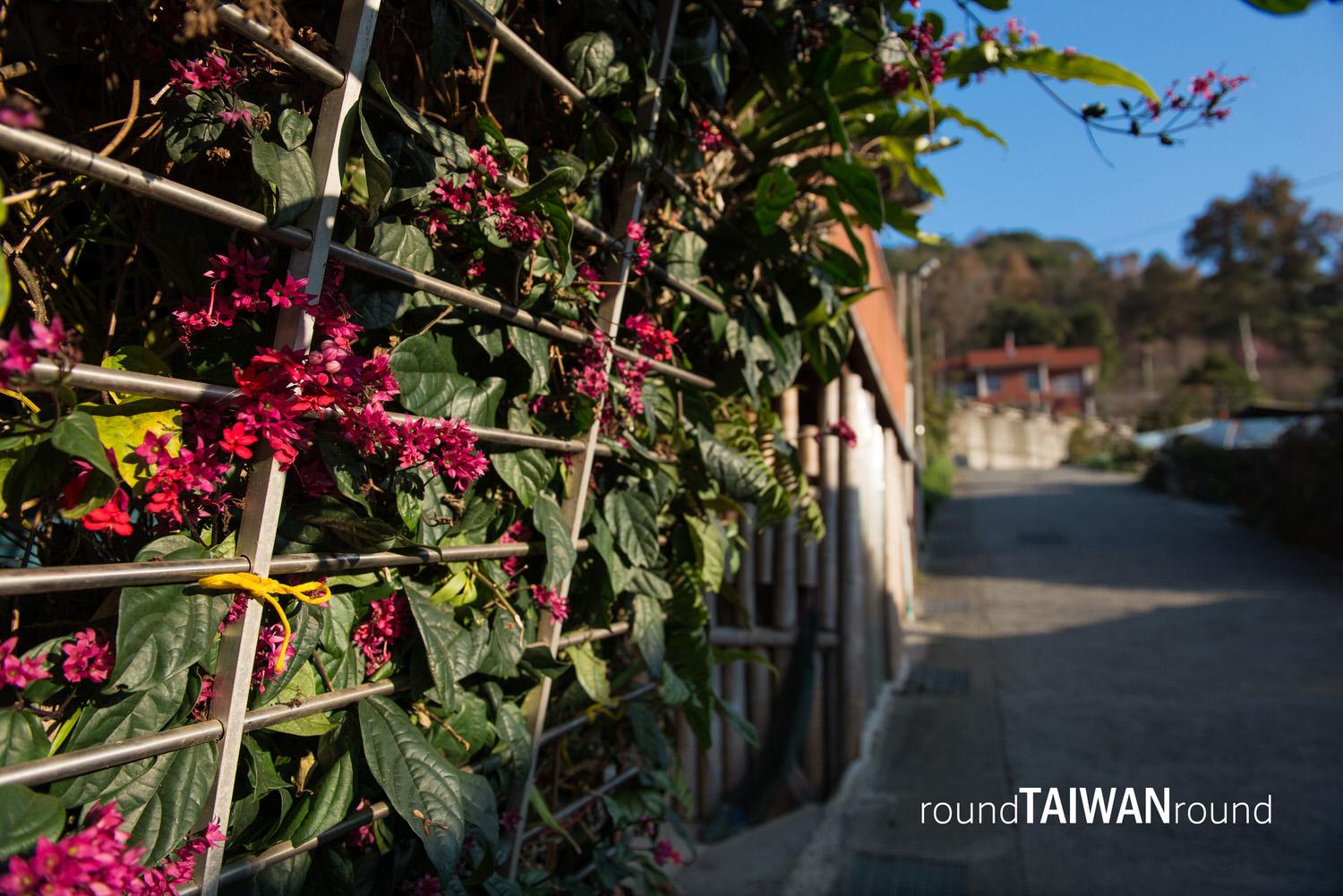 Lijia_Village_______-009.jpg