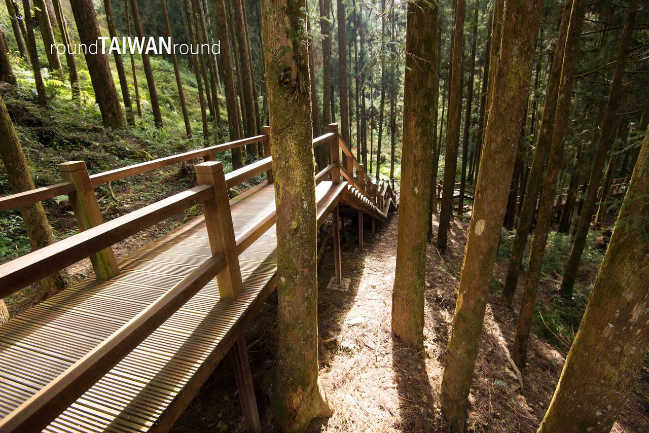 Giant_Tree_Trail________-027.jpg