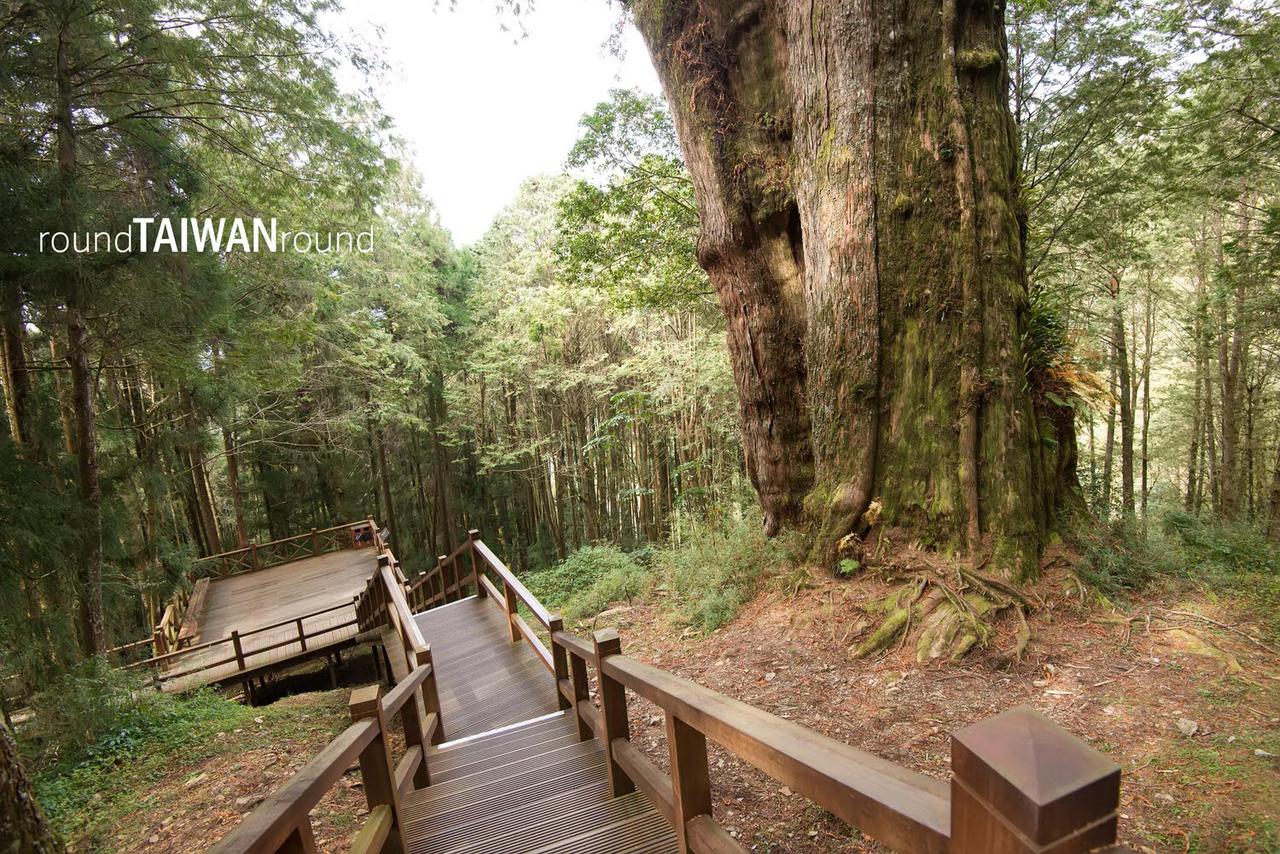 Giant_Tree_Trail________-025.jpg