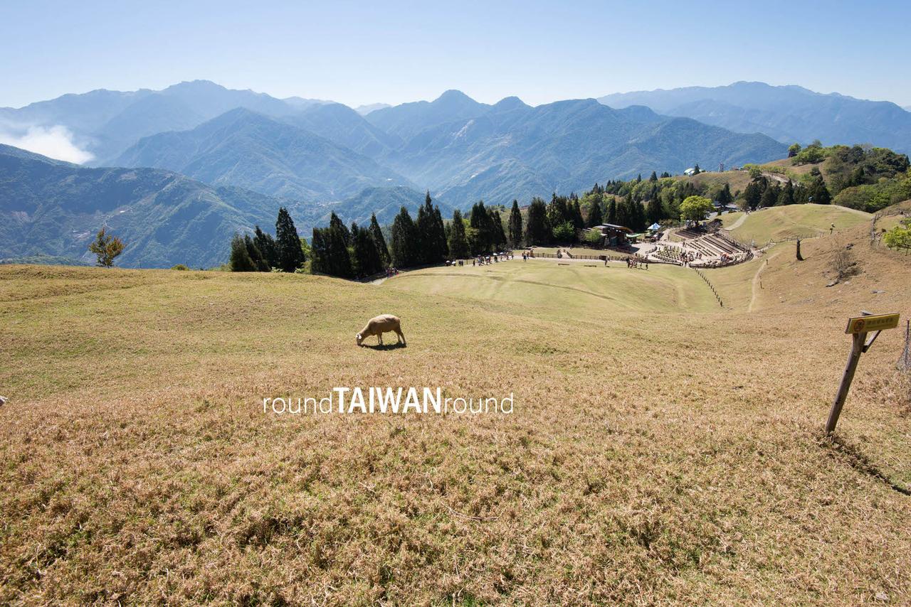 Green_Green_Grasslands_______-041.jpg
