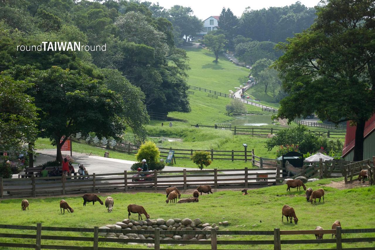 Flying_Cow_Ranch_______-024.jpg